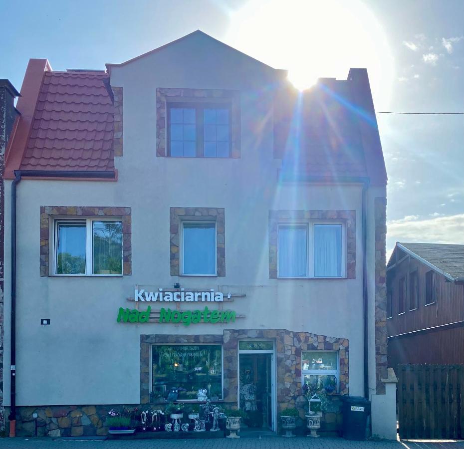 Glowna Apartamenty Nad Nogatem Malbork Exteriör bild